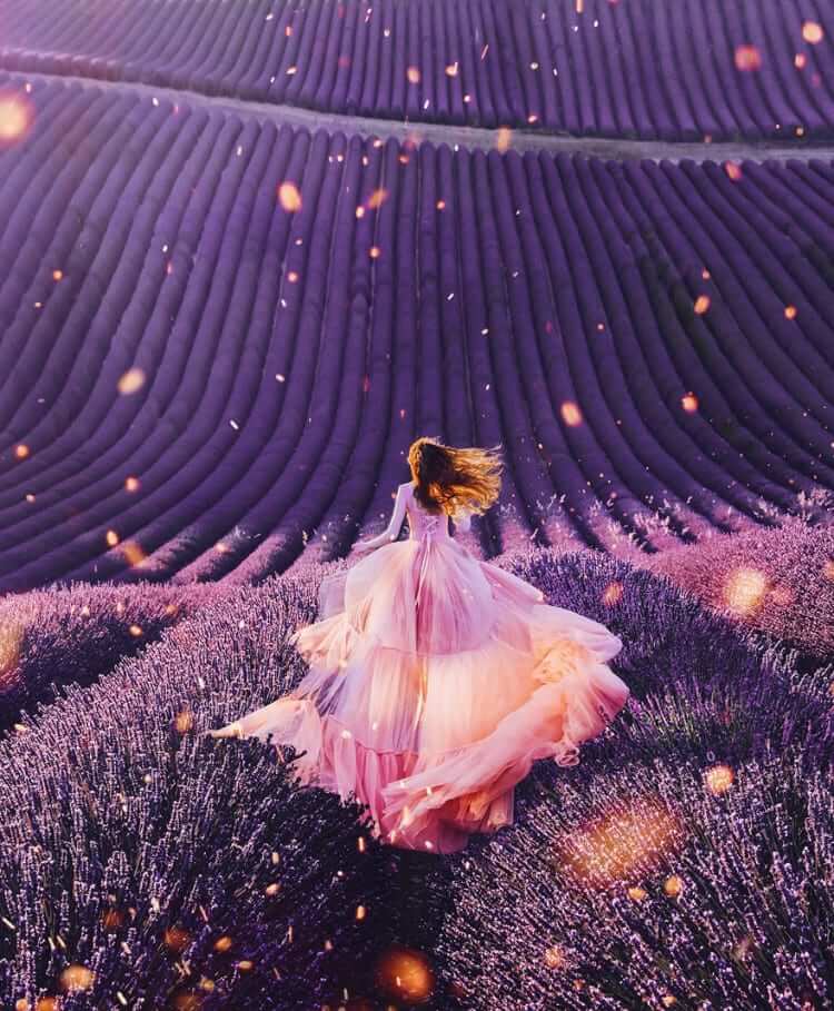 Valensole, Provence, France