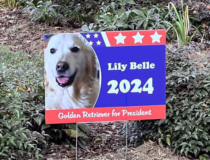 The Best Type of Leader for the Country