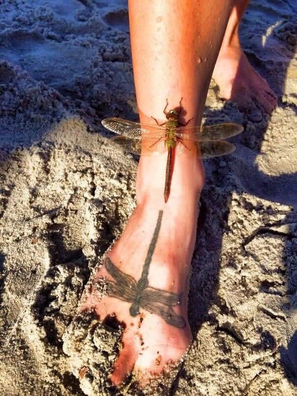 "Mirror, Mirror On The Foot"