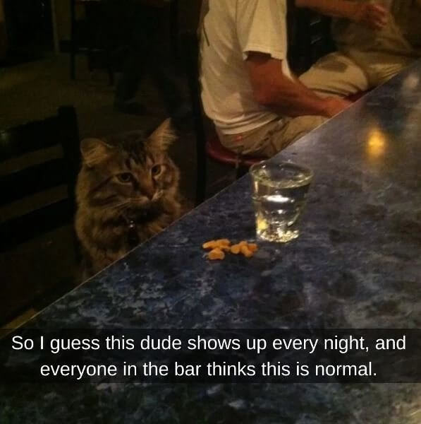 He's A Regular There