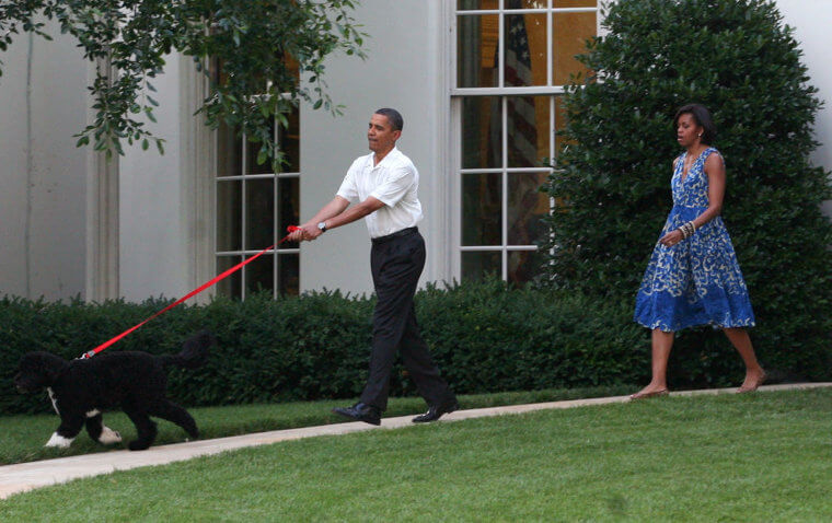 Presidents Have to Pick Up After Their Dogs