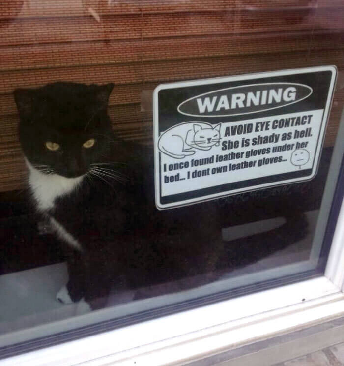 Be Warned of the Cat