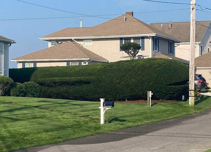 Trimming the Hedges Into a Whale
