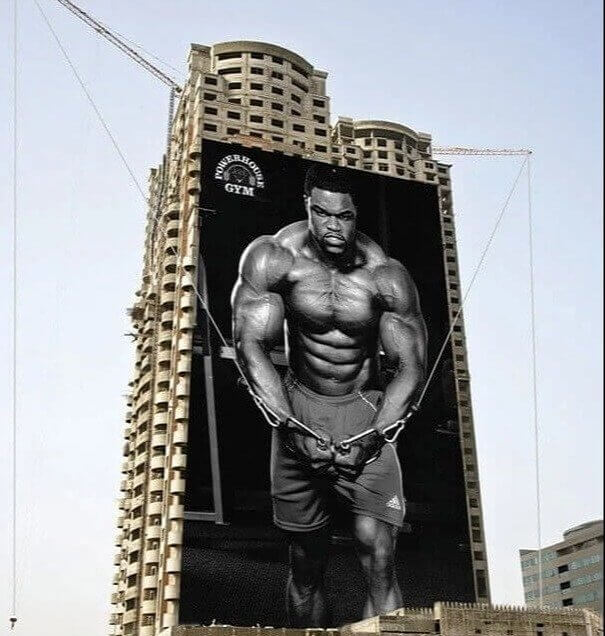 Working Out With Cranes Sure Looks Promising