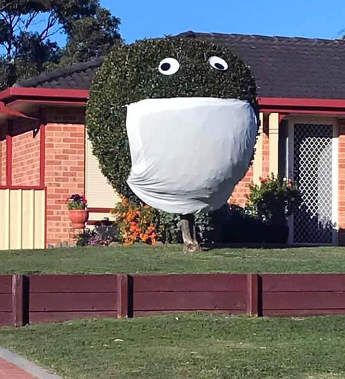 A Hedge With a Mask From the Pandemic