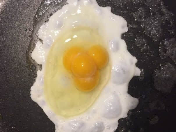 Eggscellent