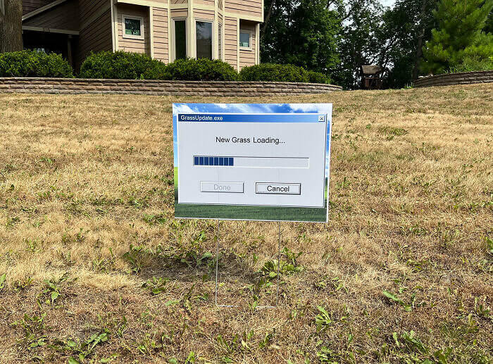 Grass Is Loading