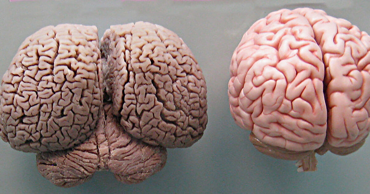 Interesting Comparison Images That Offer A New Perspective
