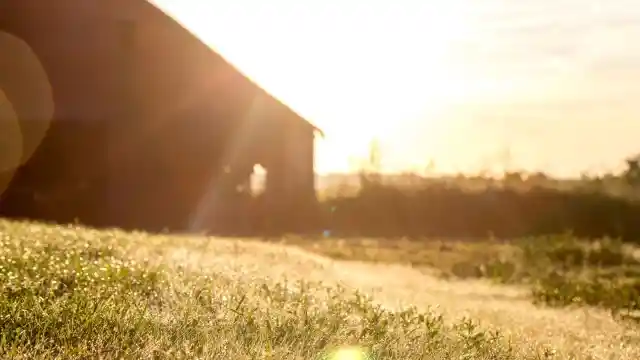 Woman Inherits Father’s Old Barn, Discovers Surprise in the Cellar